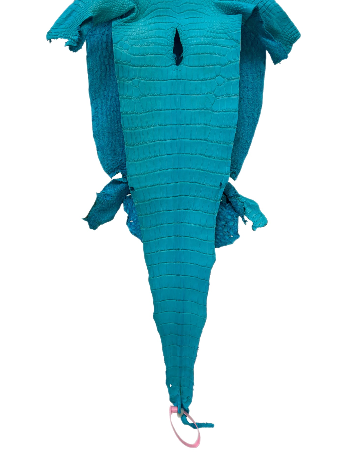 24 cm Grade 1/2 Turquoise Matte Farm-Raised American Alligator Leather - Tag: LA24-0228842