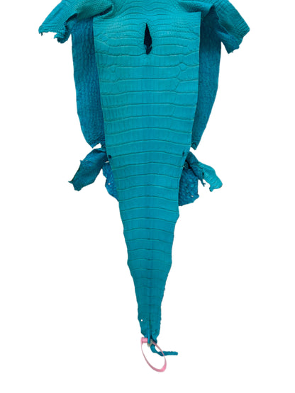24 cm Grade 1/2 Turquoise Matte Farm-Raised American Alligator Leather - Tag: LA24-0228842