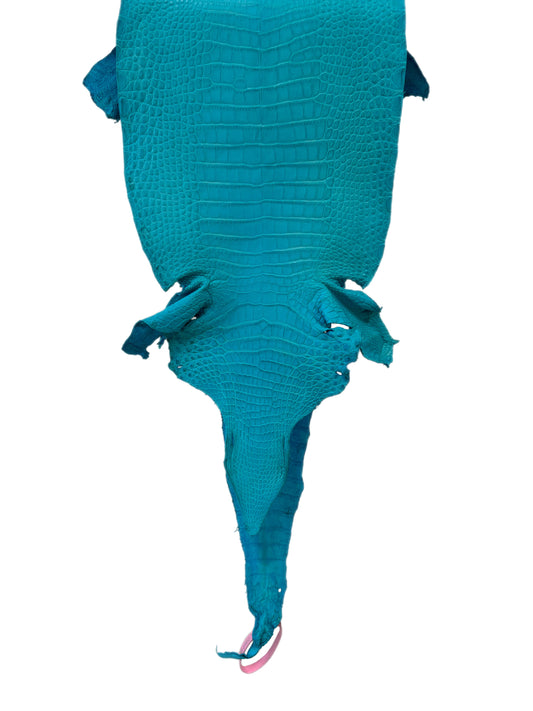 24 cm Grade 1/2 Turquoise Matte Farm-Raised American Alligator Leather - Tag: LA24-0228842