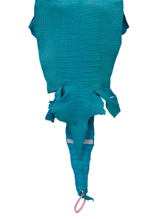 26 cm Grade 1/2 Turquoise Matte Farm-Raised American Alligator Leather - Tag: LA24-0228836