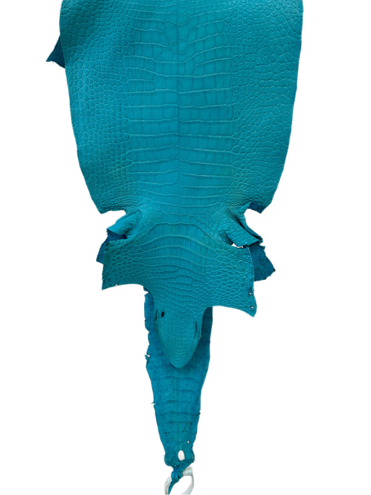 27 cm Grade 1/2 Turquoise Matte Wild American Alligator Leather - Tag: LA23-0049962