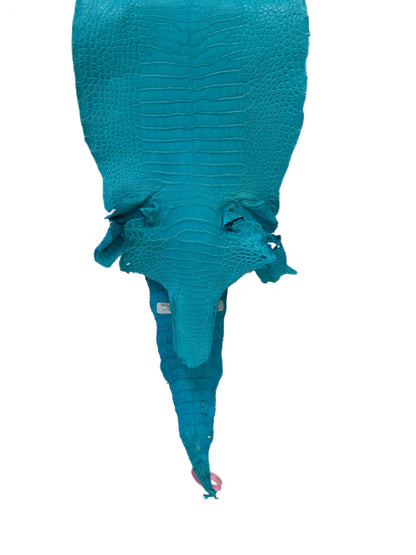 27 cm Grade 1/2 Turquoise Matte Farm-Raised American Alligator Leather - Tag: LA24-0228859