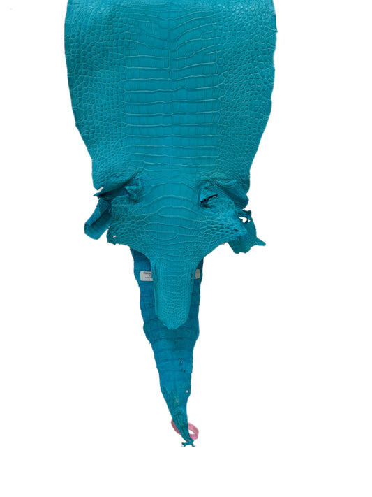 27 cm Grade 1/2 Turquoise Matte Farm-Raised American Alligator Leather - Tag: LA24-0228859