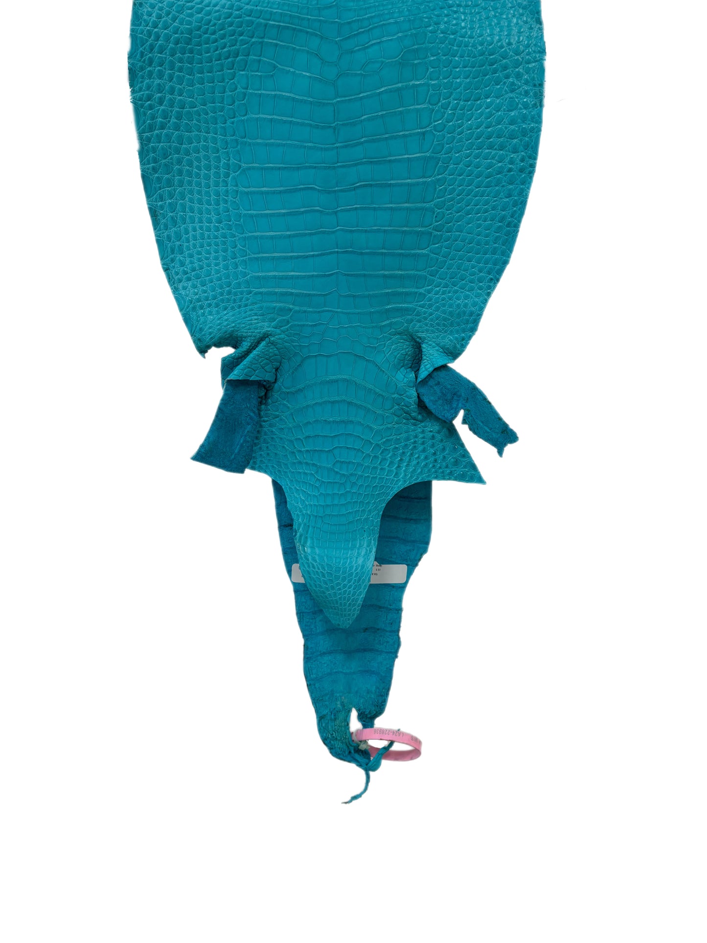 28 cm Grade 1/2 Turquoise Matte Farm-Raised American Alligator Leather - Tag: LA24-0228936