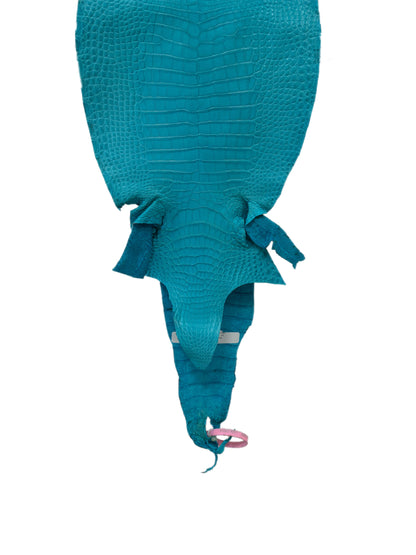 28 cm Grade 1/2 Turquoise Matte Farm-Raised American Alligator Leather - Tag: LA24-0228936