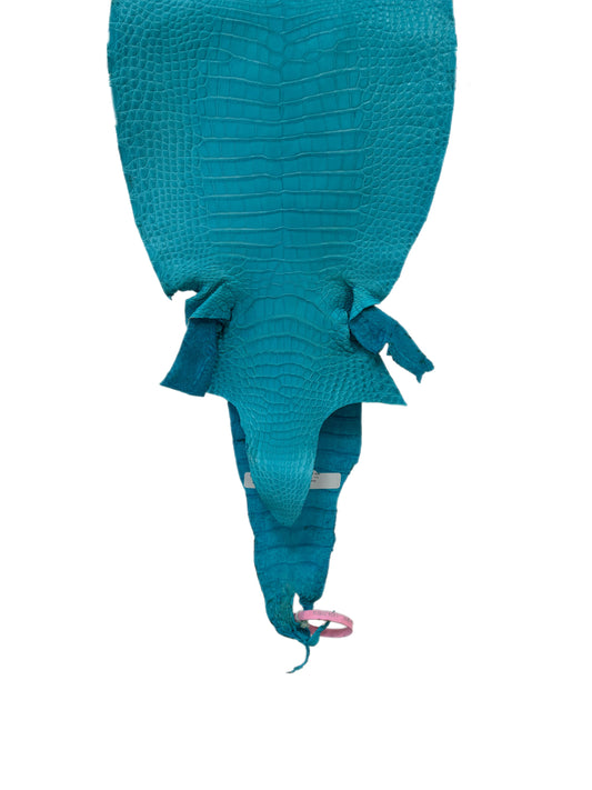 28 cm Grade 1/2 Turquoise Matte Farm-Raised American Alligator Leather - Tag: LA24-0228936