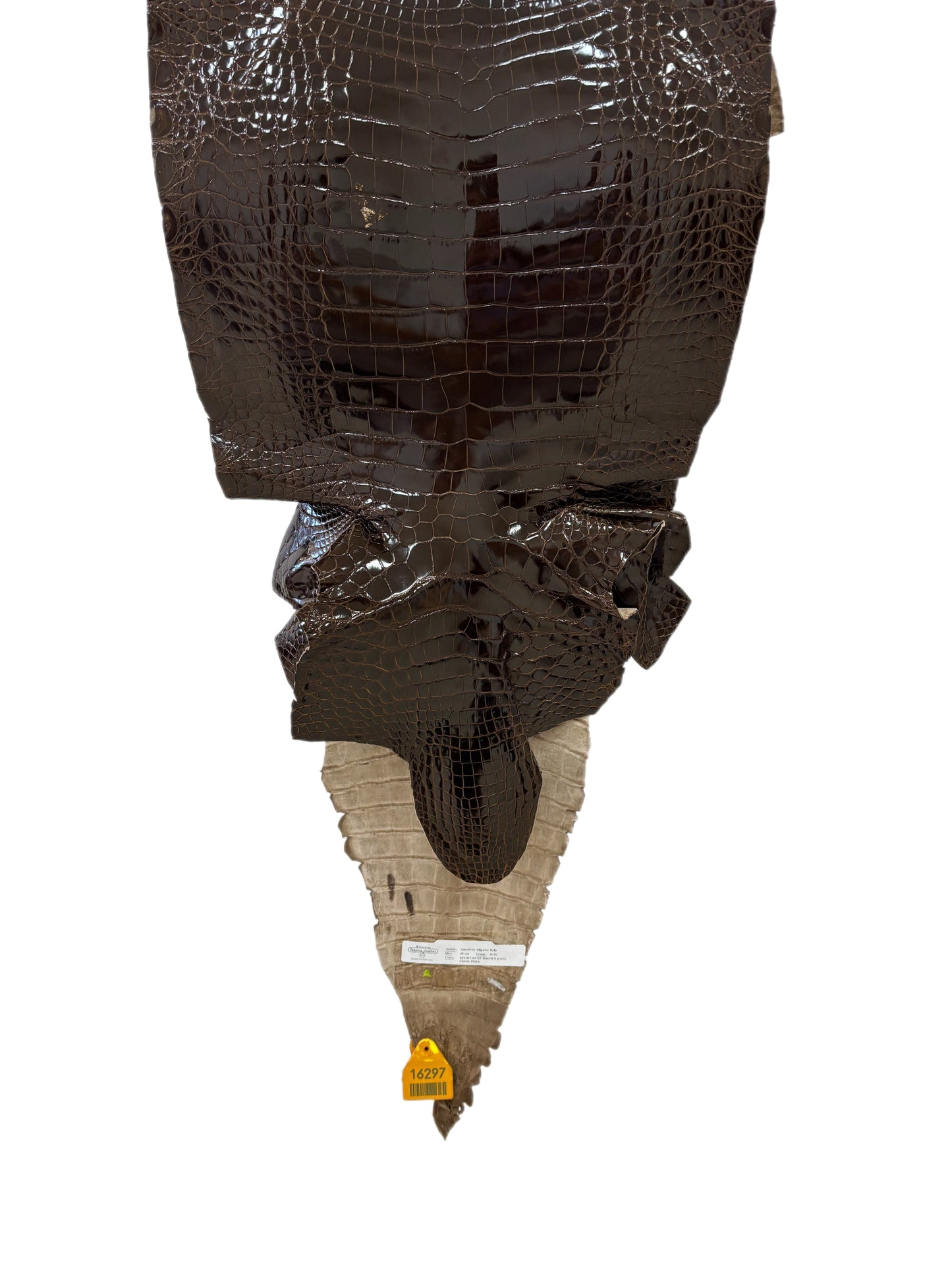 35 cm Grade 2/3 Sport Rust Brown Glazed Farm-Raised American Alligator Leather - Tag: GA13-0020396