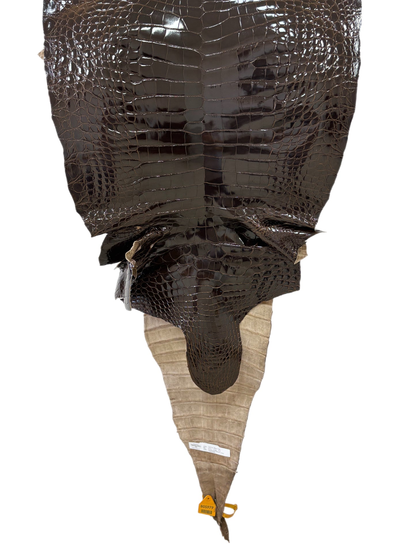 48 cm Grade 2/3 Sport Rust Brown Glazed Farm-Raised American Alligator Leather - Tag: GA13-0024494