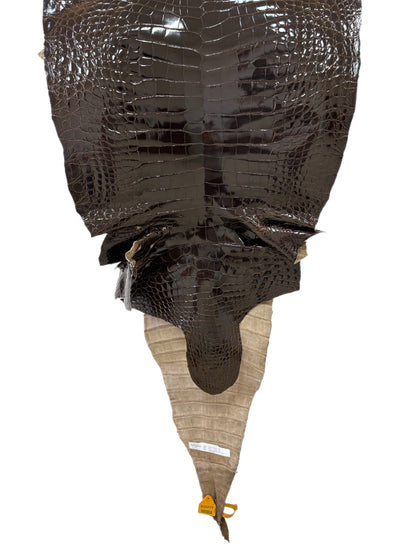 48 cm Grade 2/3 Sport Rust Brown Glazed Farm-Raised American Alligator Leather - Tag: GA13-0024494
