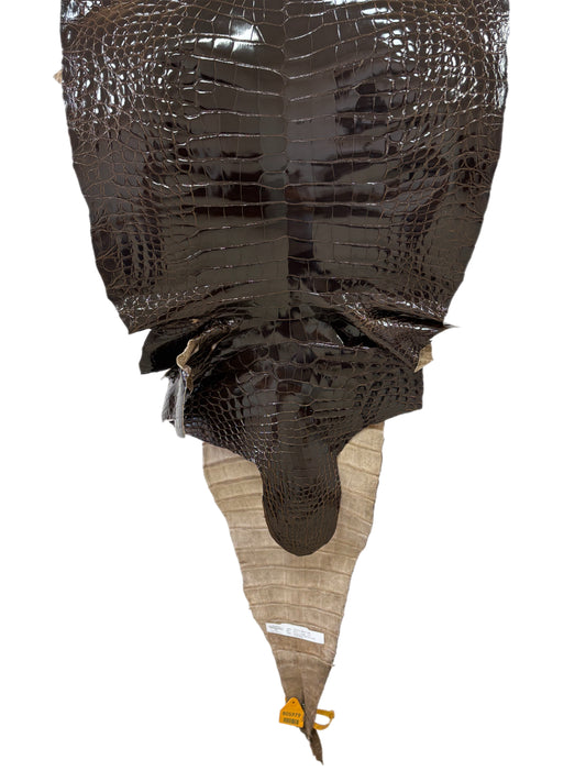 48 cm Grade 2/3 Sport Rust Brown Glazed Farm-Raised American Alligator Leather - Tag: GA13-0024494