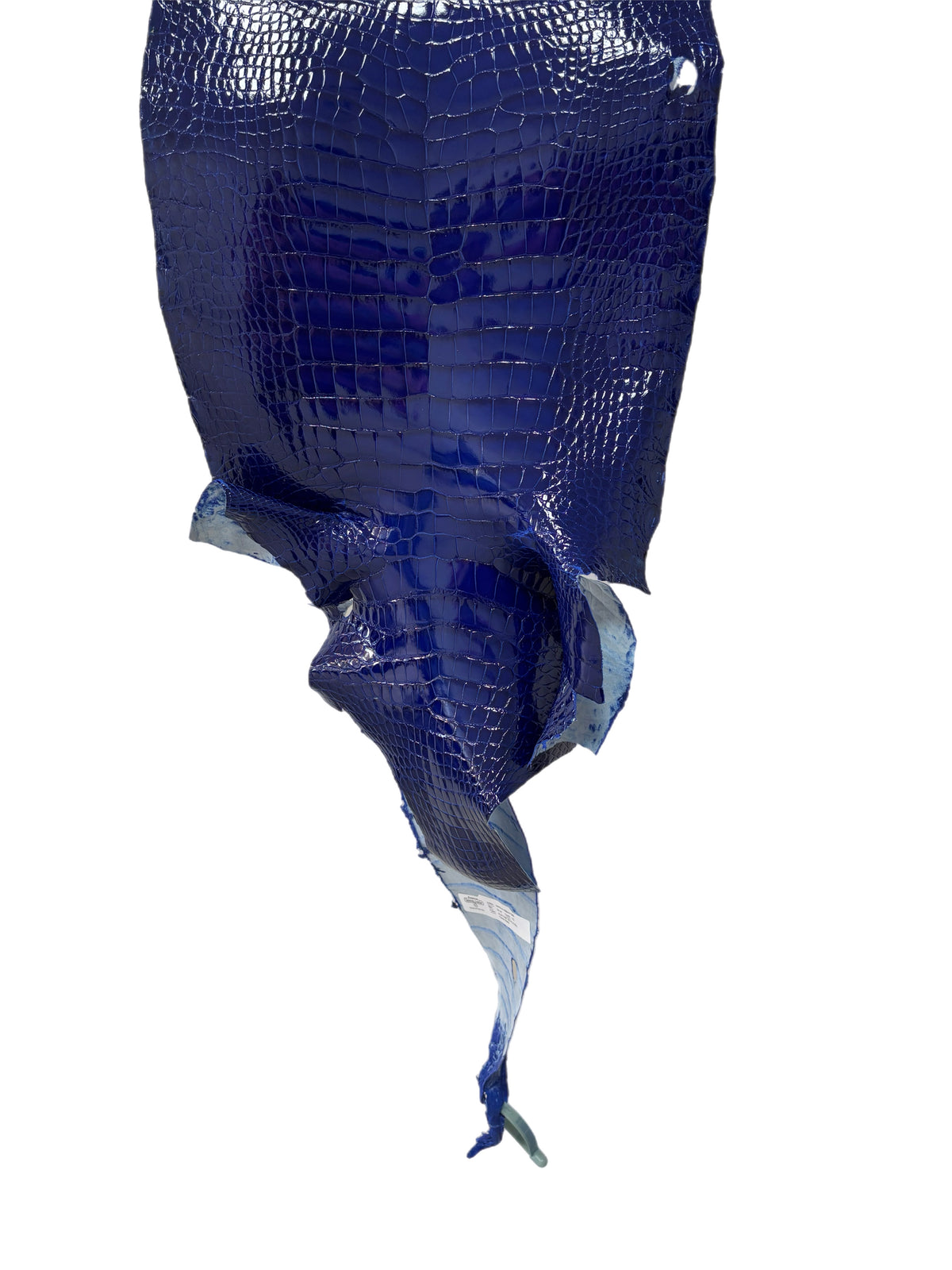 34 cm Grade 1/2 Electric Blue Glazed Wild American Alligator Leather - Tag: LA16-0017960
