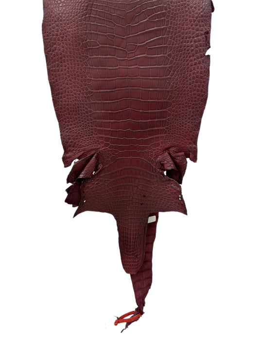 33 cm Grade 1/2 Bordeaux Matte Wild American Alligator Leather - Tag: LA18-0037371