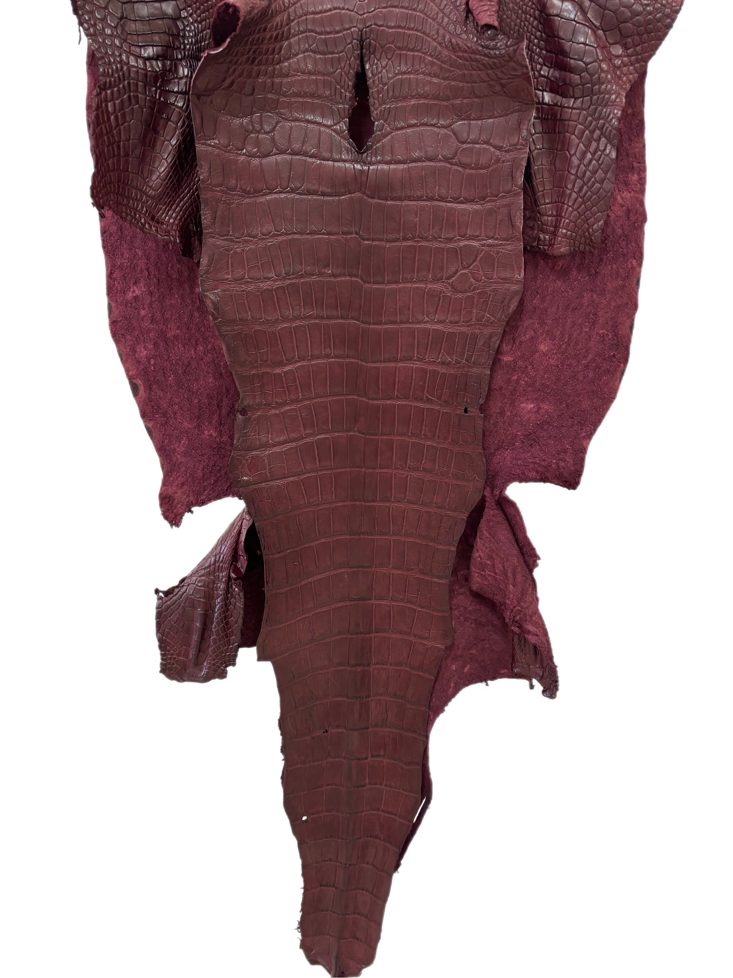 46 cm Grade 3/4 Bordeaux Matte Wild American Alligator Leather - Tag: LA24-0031231
