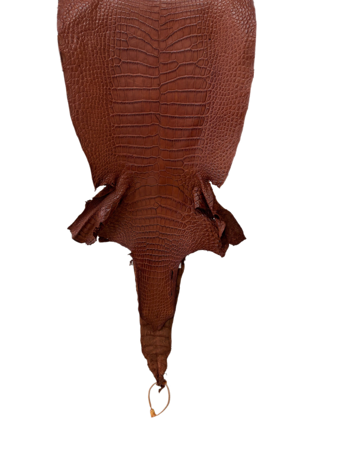 33 cm Grade 3/4 Rustic Cognac Desert Wild American Alligator Leather - Tag: LA23-0051994