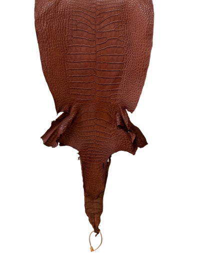 33 cm Grade 3/4 Rustic Cognac Desert Wild American Alligator Leather - Tag: LA23-0051994