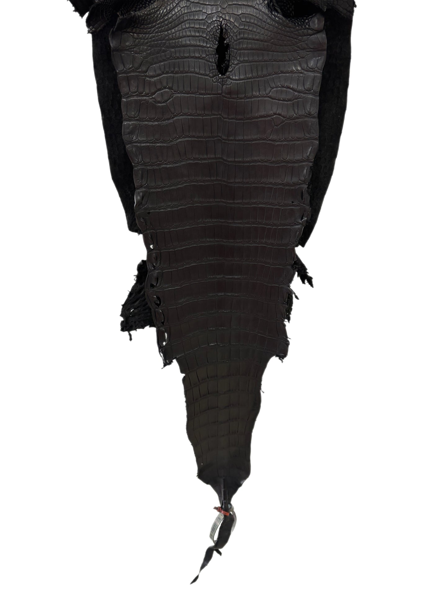 31 cm Grade 1/2 Black Matte Farm-Raised American Alligator Leather - Tag: LA23-0531668