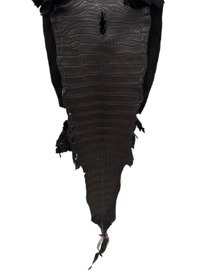 31 cm Grade 1/2 Black Matte Farm-Raised American Alligator Leather - Tag: LA23-0531668