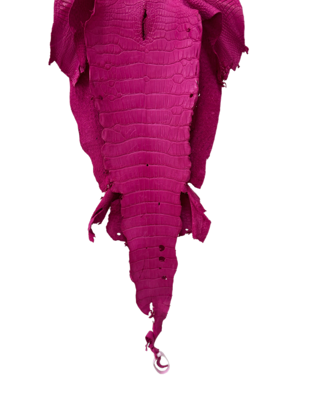 31 cm Grade 3/4 Fuchsia Matte Wild American Alligator Leather - Tag: LA23-0019792