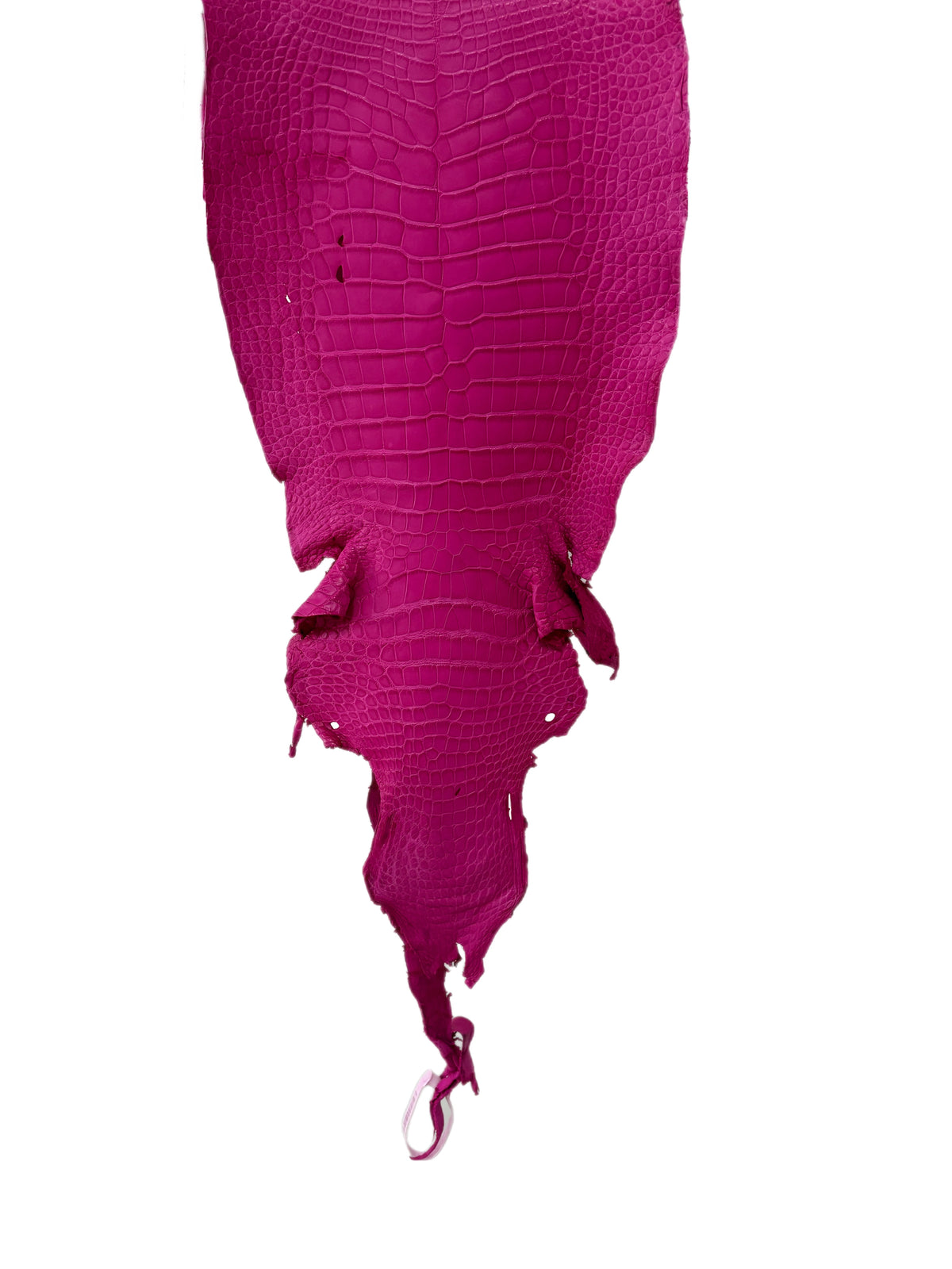 31 cm Grade 3/4 Fuchsia Matte Wild American Alligator Leather - Tag: LA23-0019792