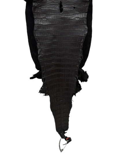 30 cm Grade 2/3 Black Matte Farm-Raised American Alligator Leather - Tag: LA23-0531616