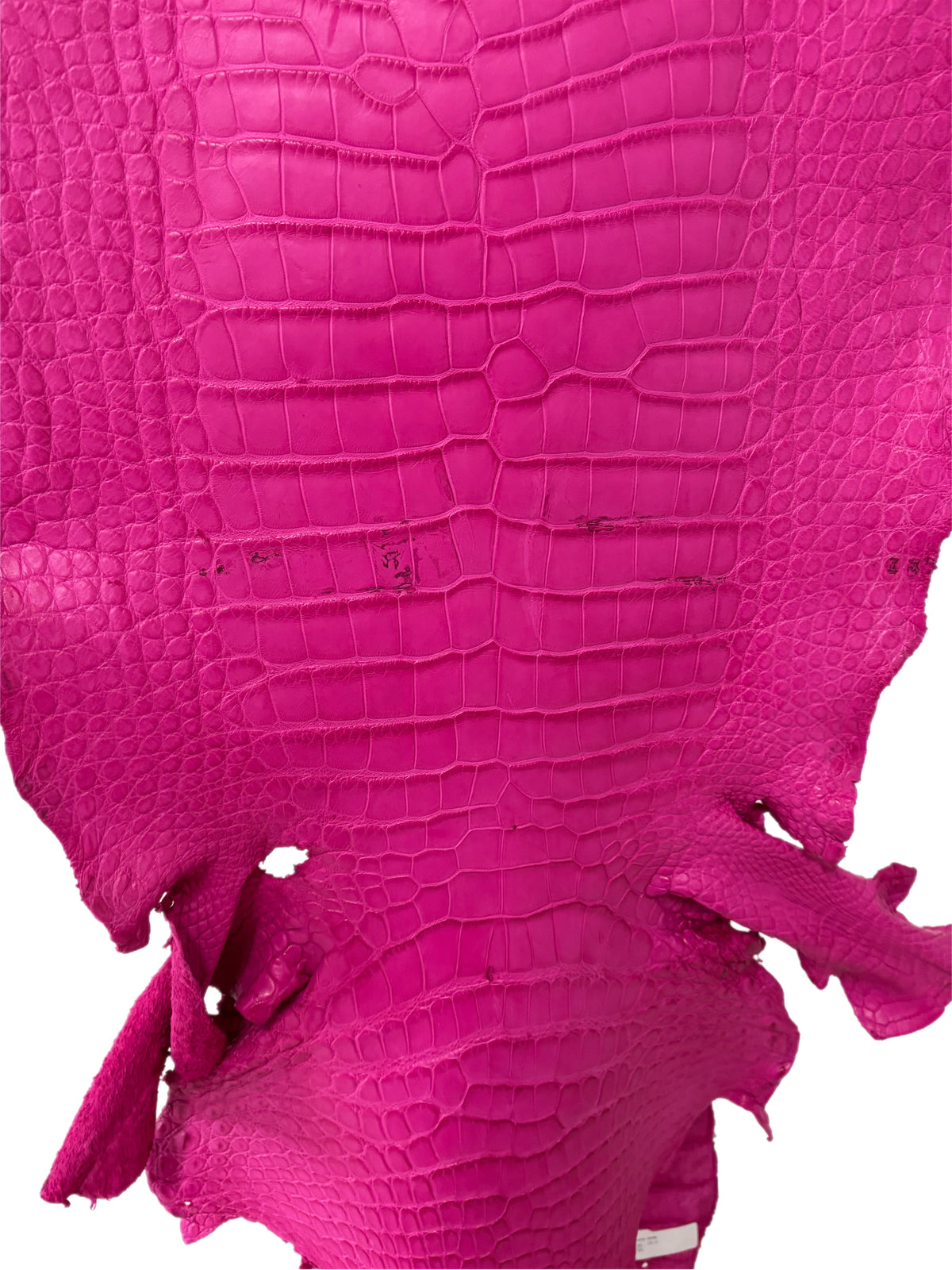 34 cm Grade 4/5 Fuchsia Matte Wild American Alligator Leather - Tag: MS24-0000641