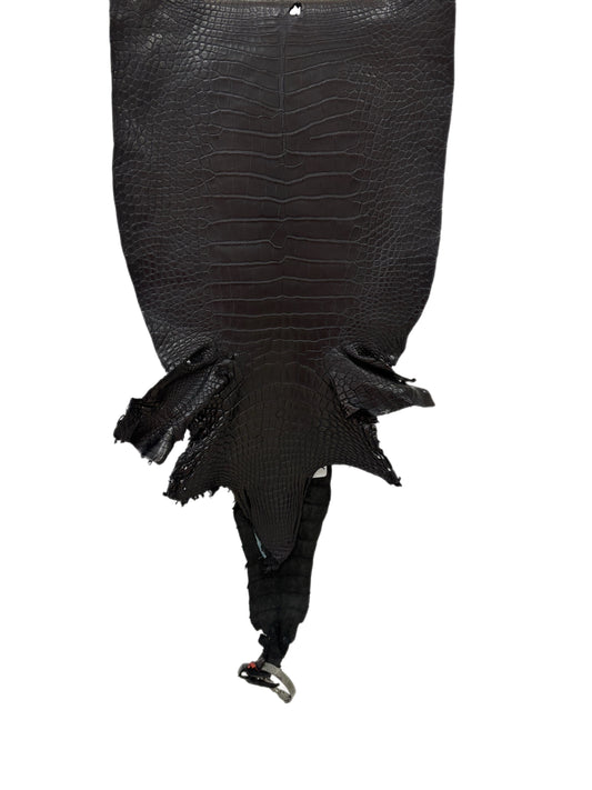 30 cm Grade 2/3 Black Matte Farm-Raised American Alligator Leather - Tag: LA23-0531616