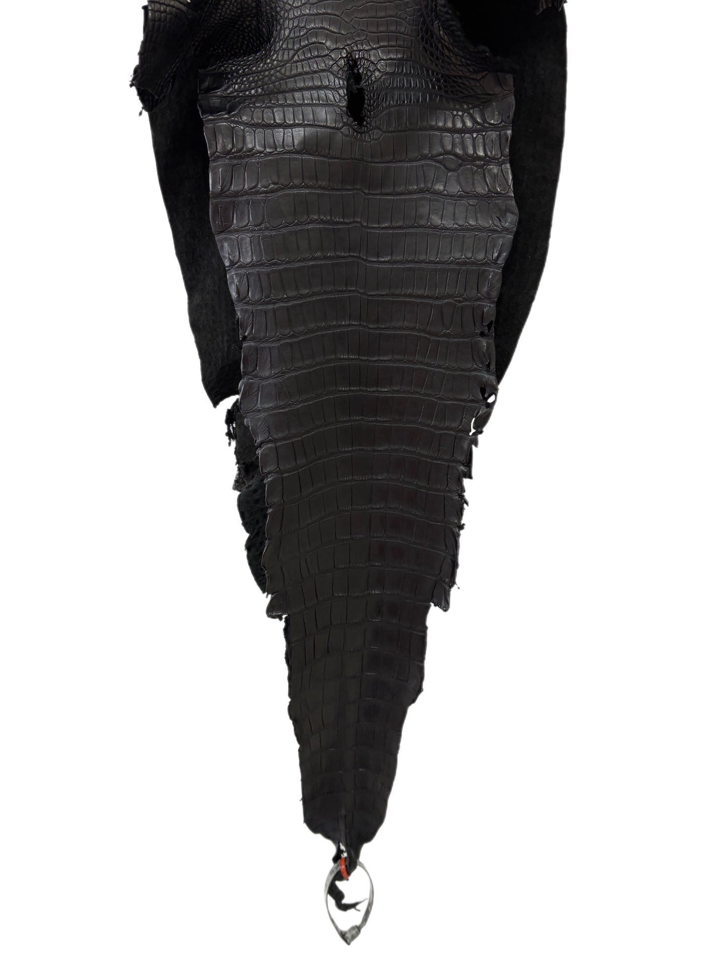 31 cm Grade 2/3 Black Matte Farm-Raised American Alligator Leather - Tag: LA23-0531340