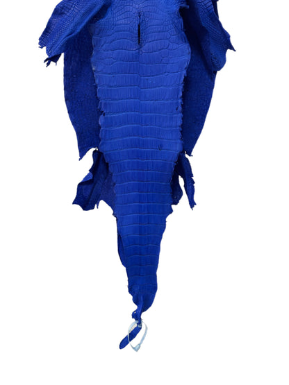 33 cm Grade 2/3 Royal Blue Matte Wild American Alligator Leather - Tag: LA23-0027106
