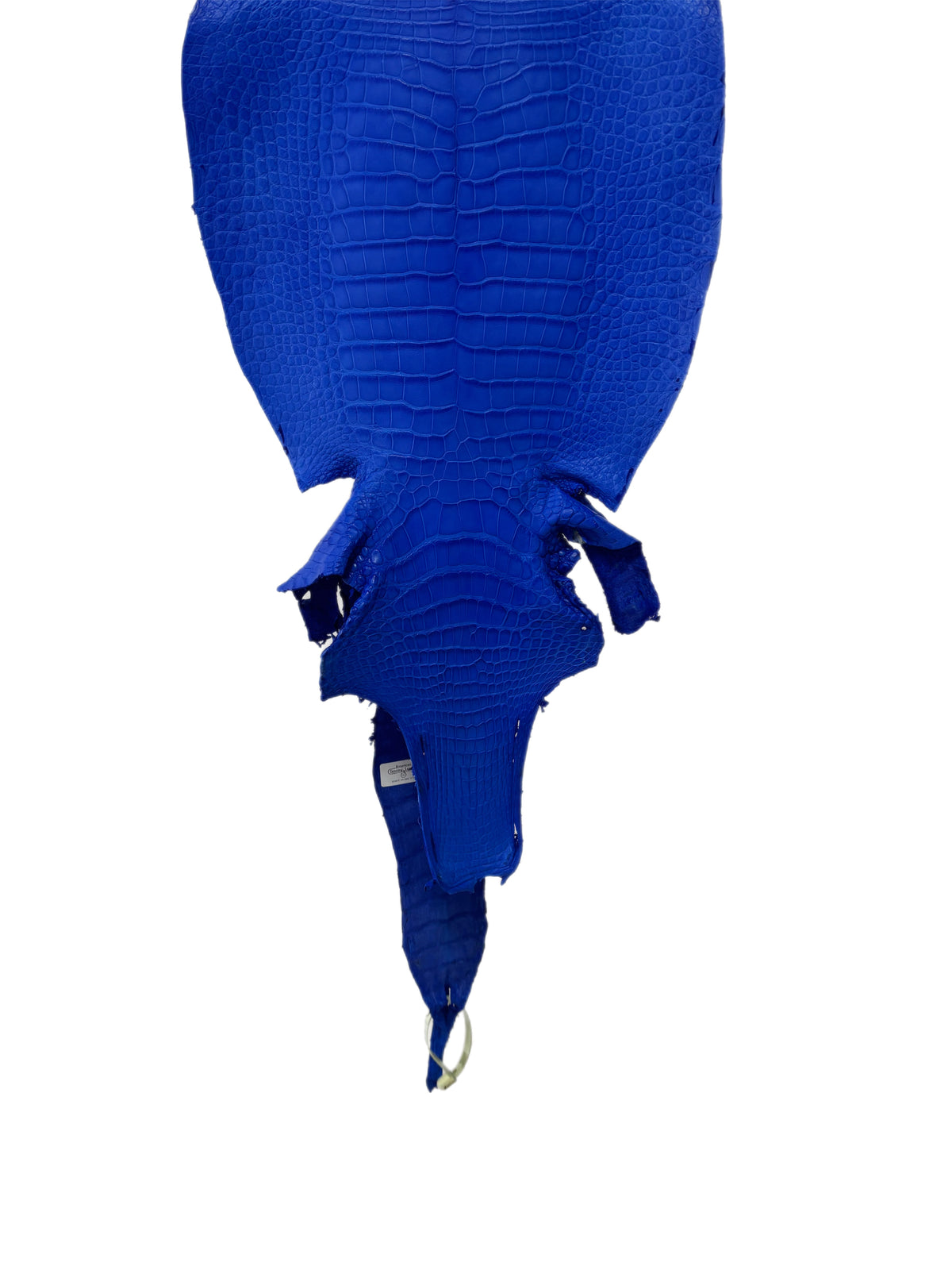 33 cm Grade 2/3 Royal Blue Matte Wild American Alligator Leather - Tag: LA16-0014323