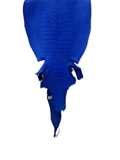 33 cm Grade 2/3 Royal Blue Matte Wild American Alligator Leather - Tag: LA16-0014323