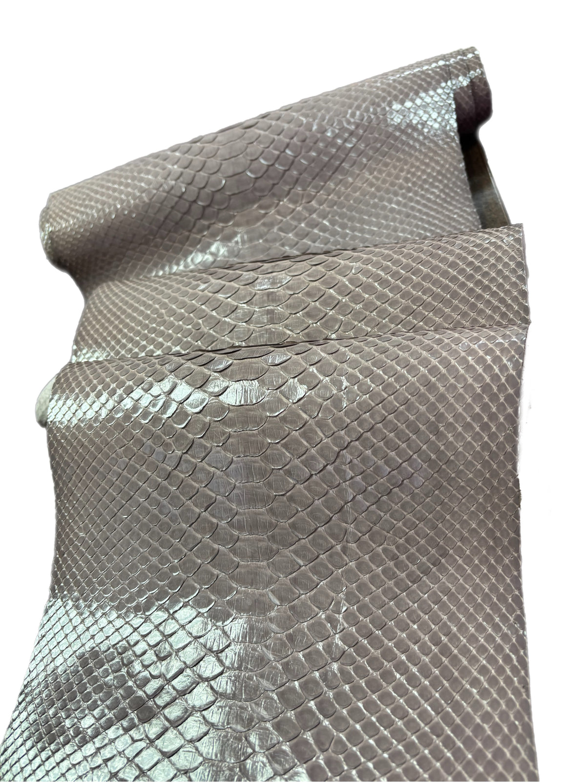 2 M Back Cut Taupe Glazed Python Leather