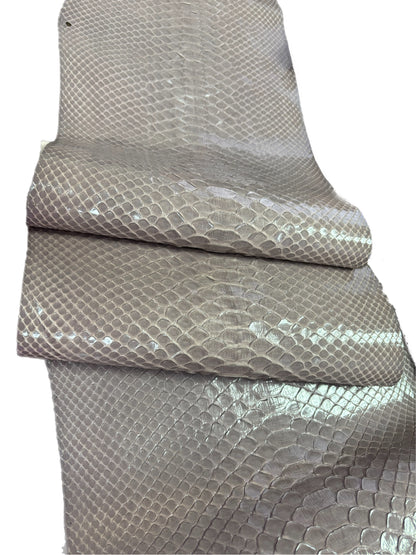 2 M Back Cut Taupe Glazed Python Leather