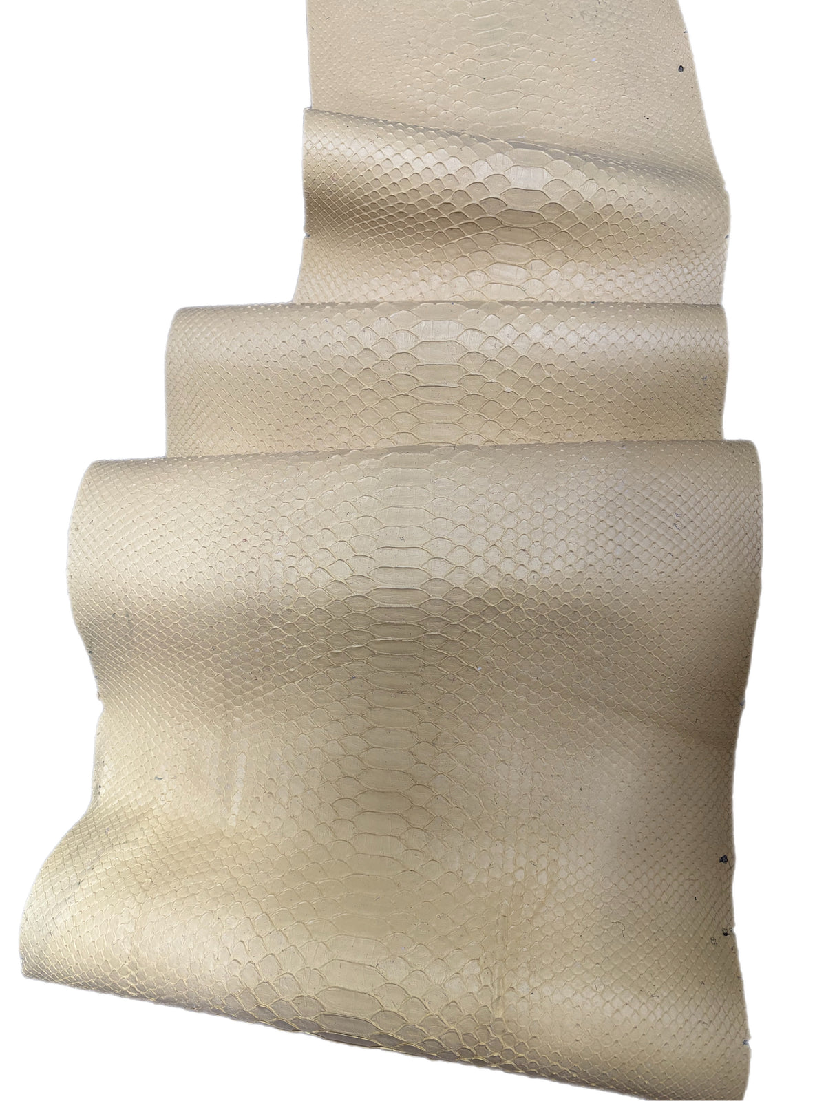 2.2 M Back Cut Pale Yellow Matte Python Leather