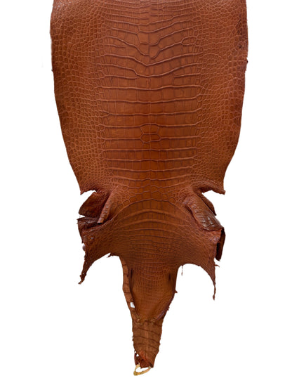 44 cm Grade 3/4 Cognac Matte Wild American Alligator Leather - Tag: LA23-0006603