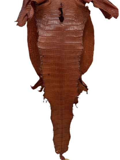 37 cm Grade 3/4 Cognac Matte Wild American Alligator Leather - Tag: LA23-0019804