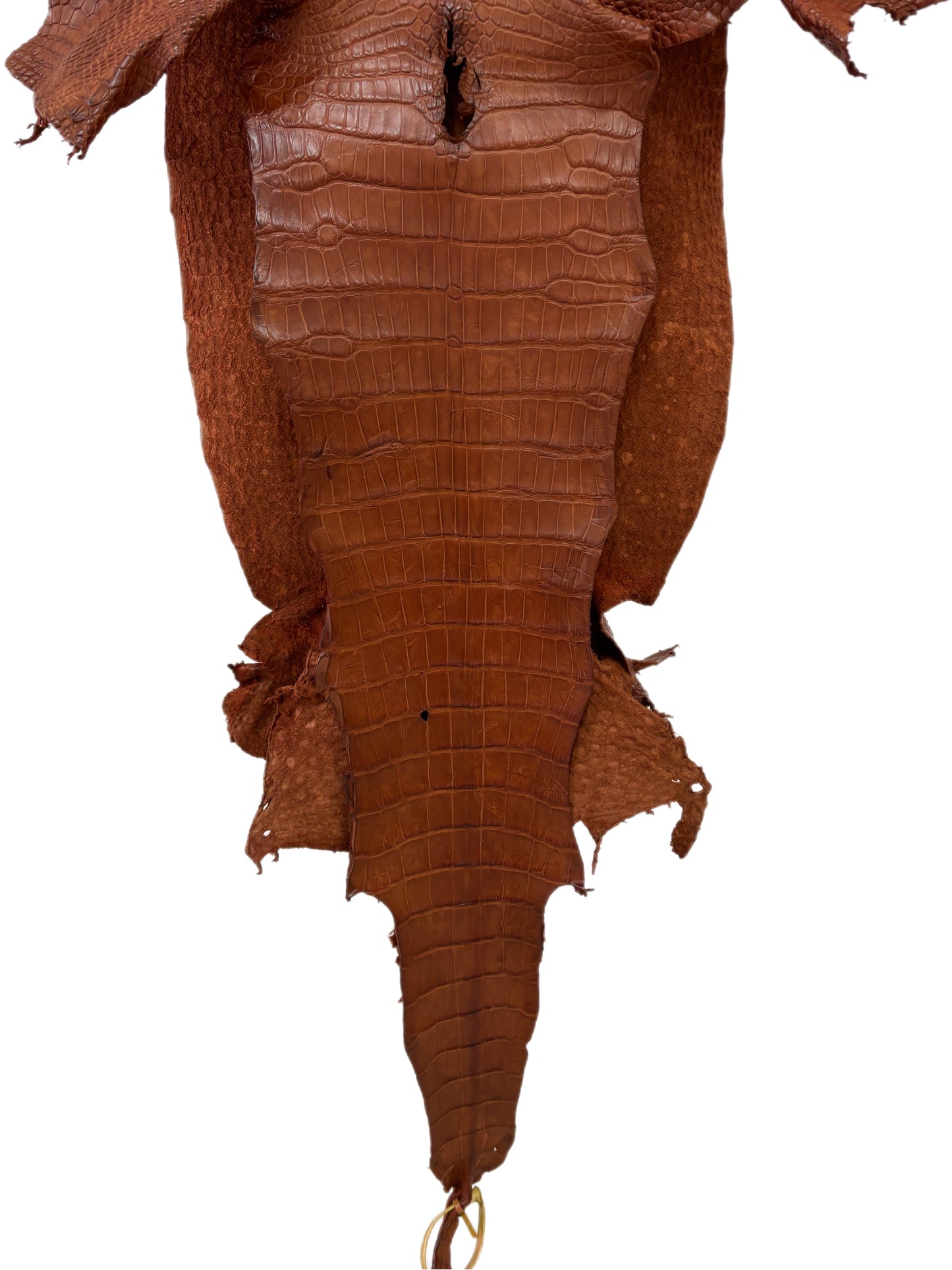 40 cm Grade 2/3 Cognac Matte Wild American Alligator Leather - Tag: LA23-0006508