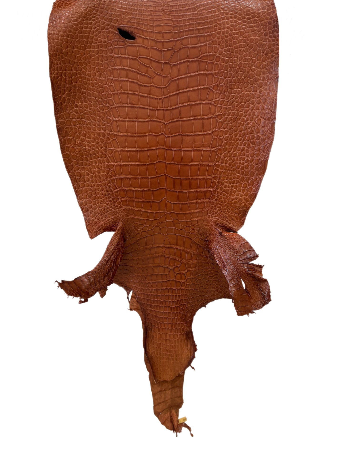 40 cm Grade 2/3 Cognac Matte Wild American Alligator Leather - Tag: LA23-0006508