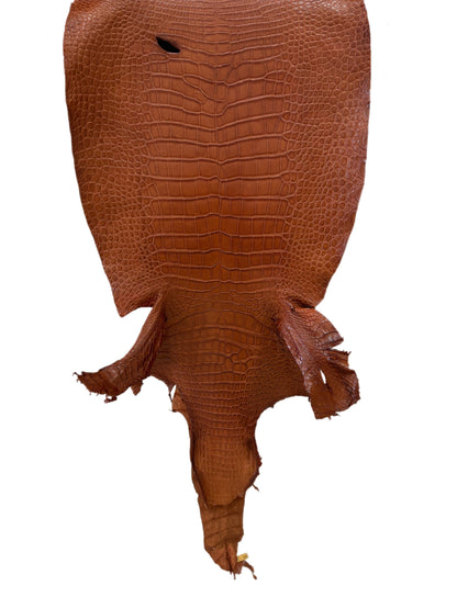40 cm Grade 2/3 Cognac Matte Wild American Alligator Leather - Tag: LA23-0006508