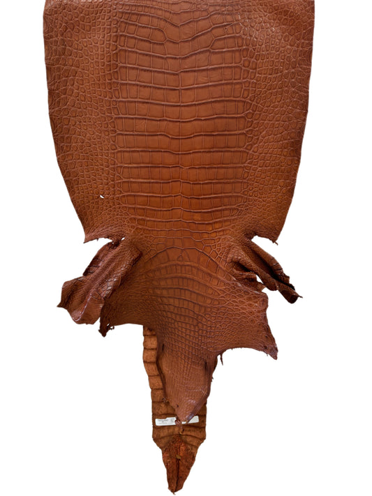 44 cm Grade 2/3 Cognac Matte Wild American Alligator Leather - Tag: LA23-0001902
