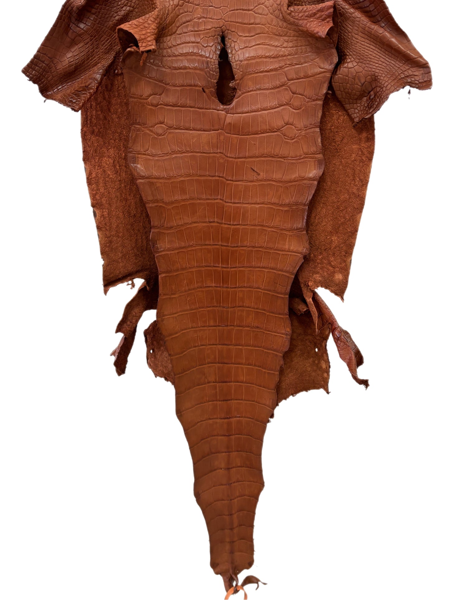43 cm Grade 2/3 Cognac Matte Wild American Alligator Leather - Tag: LA24-0039978