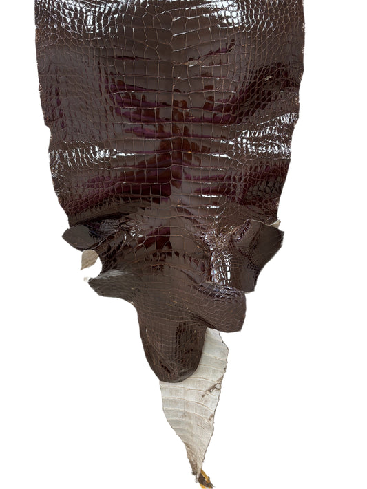 47 cm Grade 4/5 Sport Rust Brown Glazed Wild American Alligator Leather - Tag: LA23-0010024