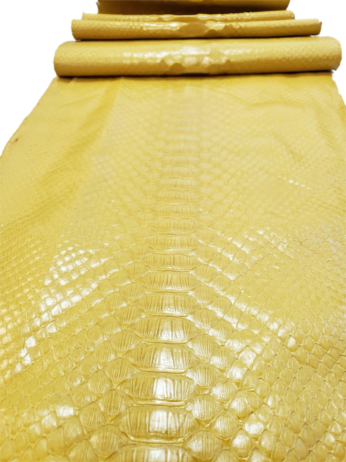 3.5 M Back Cut Bright Yellow Glazed Python