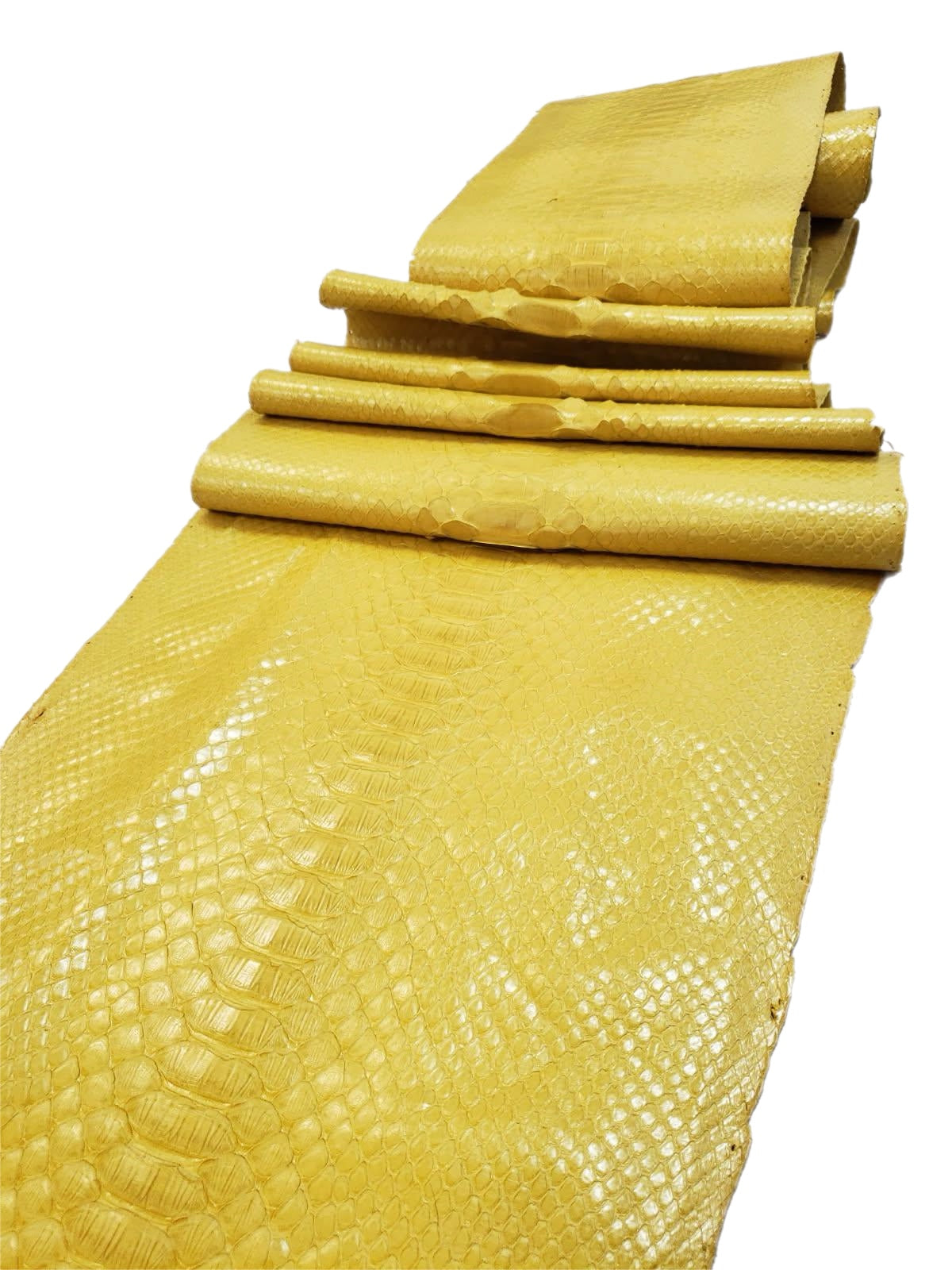3.5 M Back Cut Bright Yellow Glazed Python