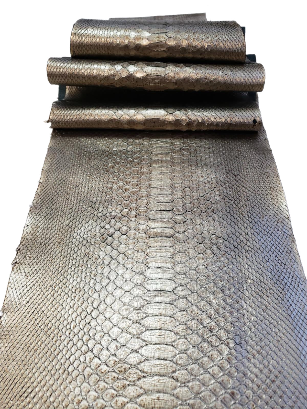 1.9 M Back Cut Brass Metallic Python Leather