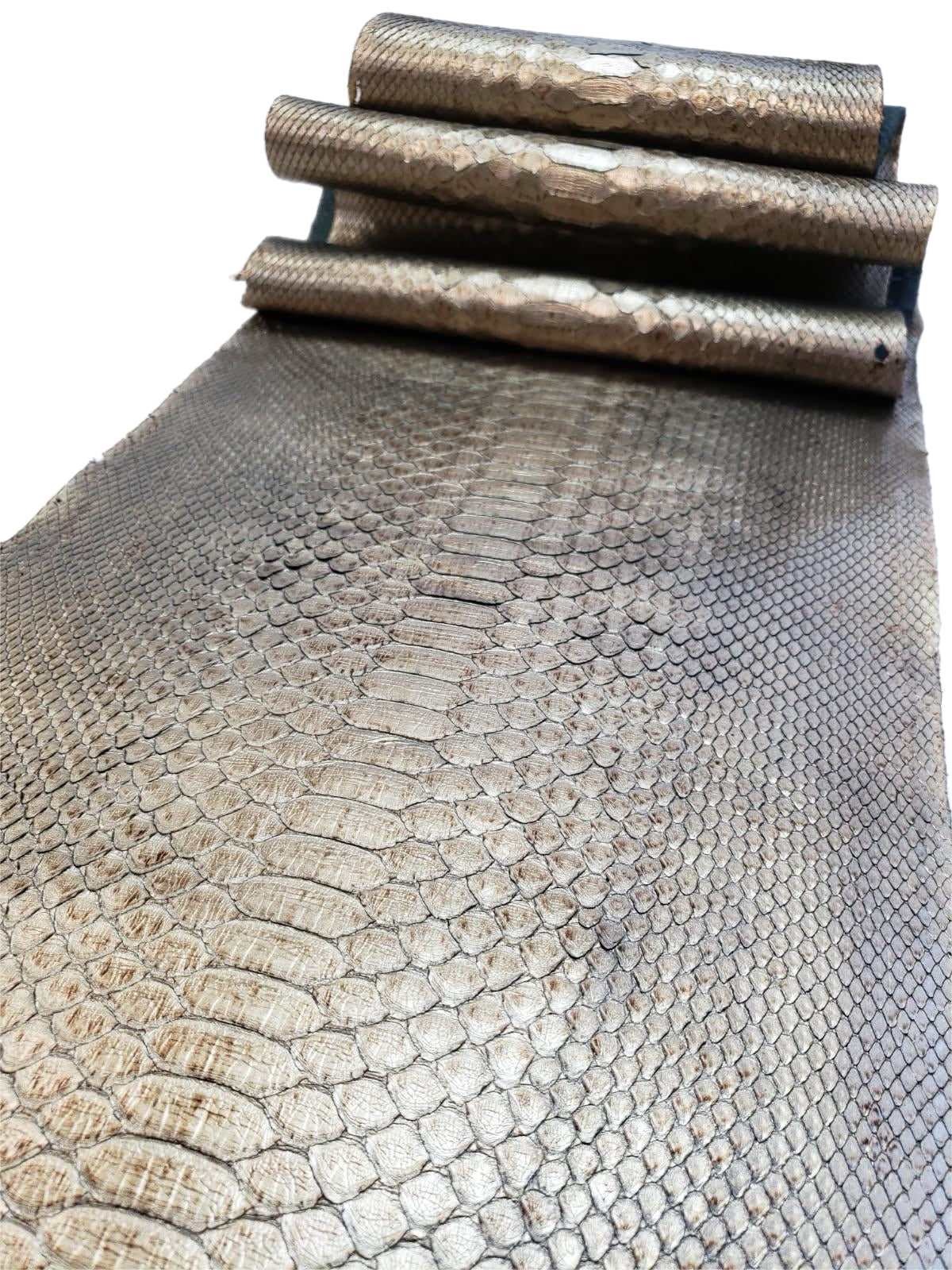 1.9 M Back Cut Brass Metallic Python Leather