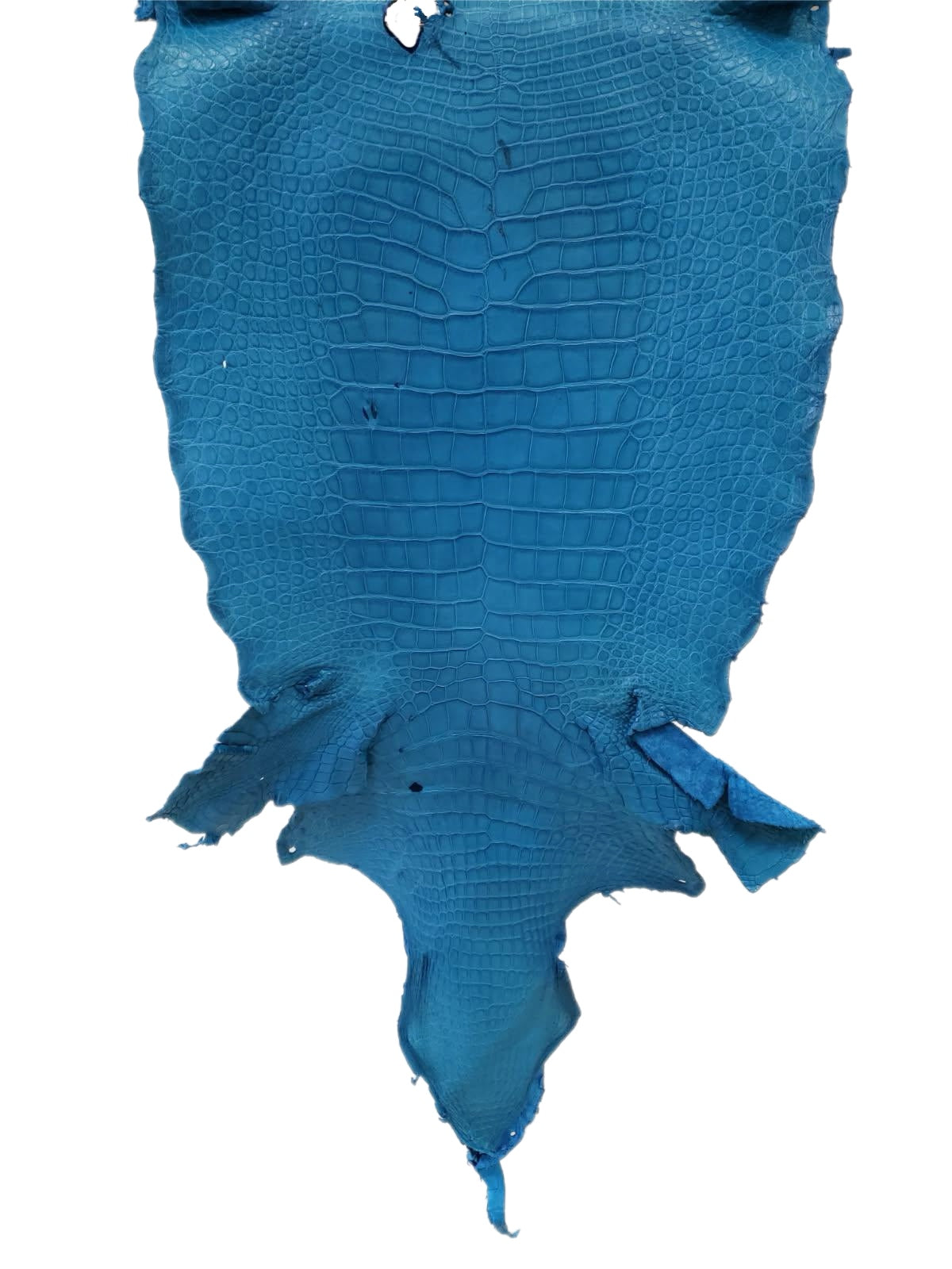 43 cm Grade 3/4 Ultramarine Matte Wild American Alligator Leather - Tag: LA23-0003022