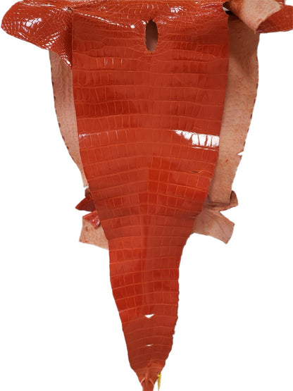 52 cm Grade 2/3 Mandarina Glazed Farm-Raised American Alligator Leather - Tag: FL14-0004018