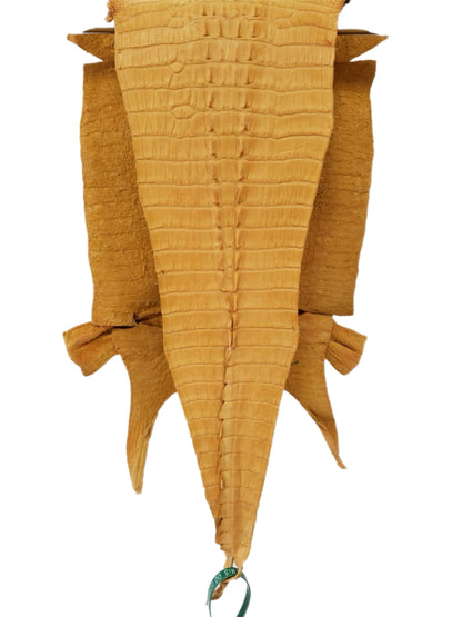 27 cm Grade 2/3 Buttercup Matte Farm-Raised American Alligator Hornback Leather - Tag: LA00-0260116
