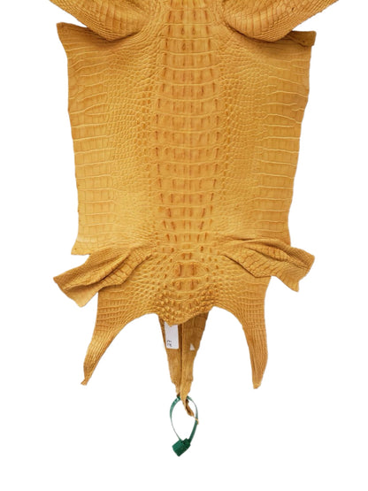 27 cm Grade 2/3 Buttercup Matte Farm-Raised American Alligator Hornback Leather - Tag: LA00-0260116