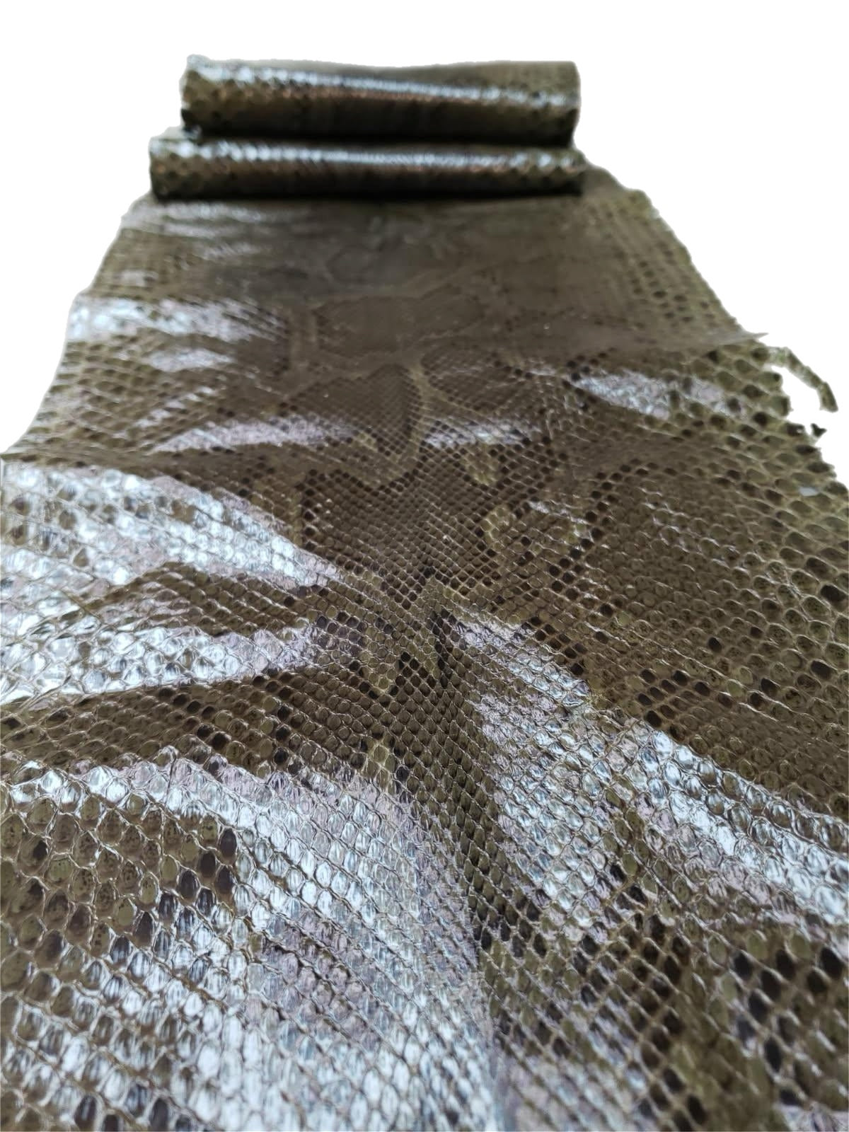 1.2 M Front Cut Olive Glazed Python Leather with Natural Markings